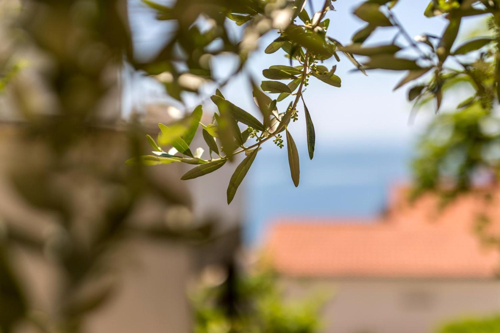 Apartments With A Parking Space Baska Voda, Makarska - 301 Екстериор снимка